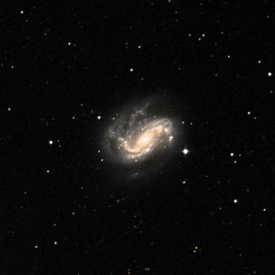 NGC 4051 survey image