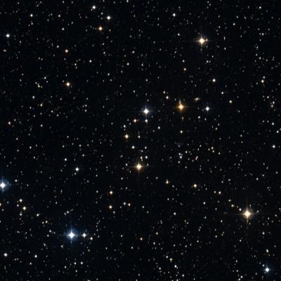 NGC 956 survey image