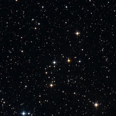 NGC 956 survey image