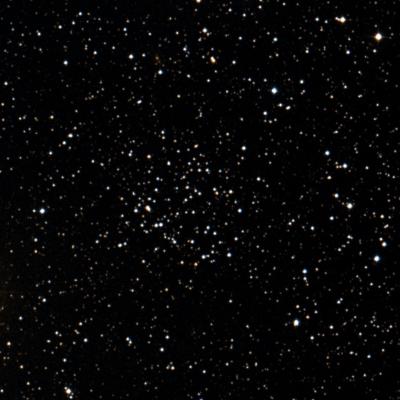 NGC 1605 survey image