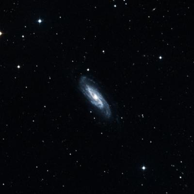 NGC 3198 survey image