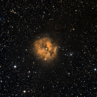 Cocoon Nebula survey image