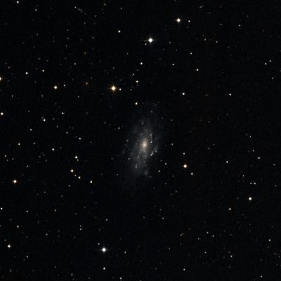 NGC 2541 survey image