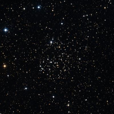 NGC 1513 survey image