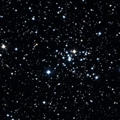 NGC 2186 survey image
