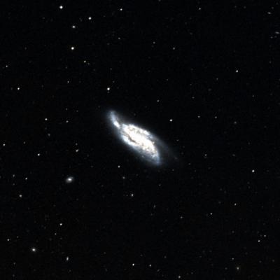 NGC 4088 survey image