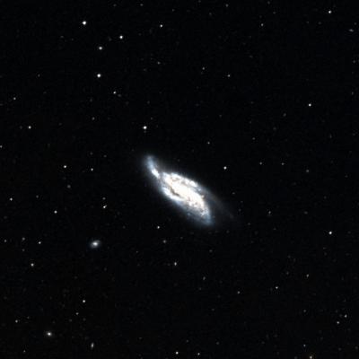 NGC 4088 survey image