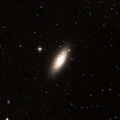 NGC 2841 survey image
