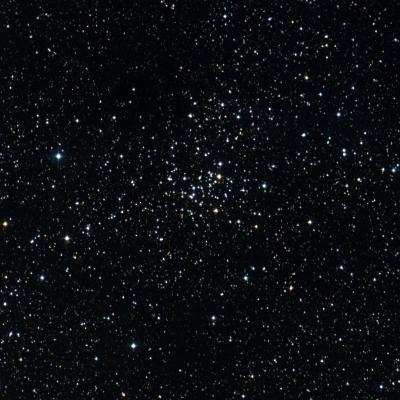 NGC 7086 survey image