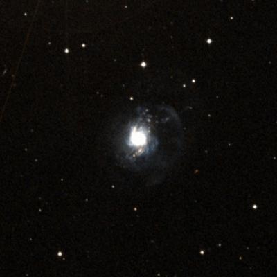 NGC 3310 survey image