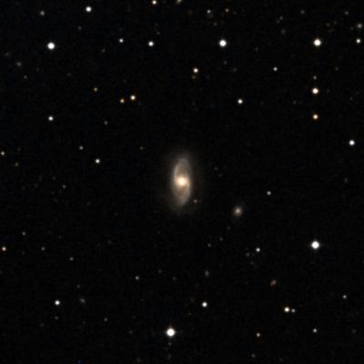 NGC 2505 survey image