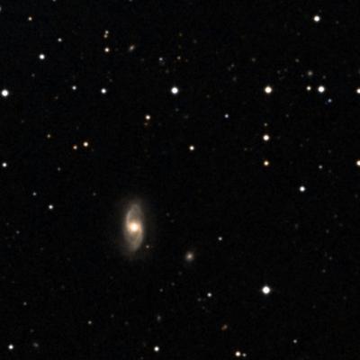 NGC 2505 survey image