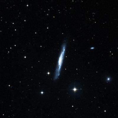 NGC 3079 survey image