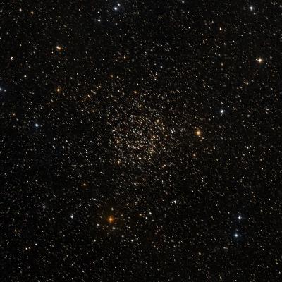 Caroline's Rose survey image