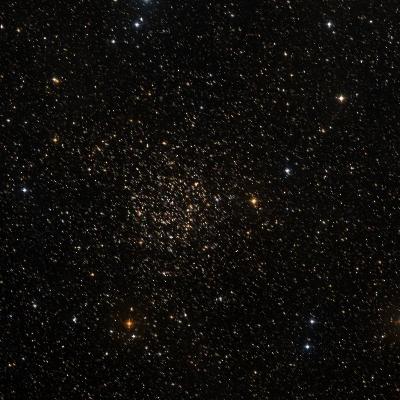 Caroline's Rose survey image