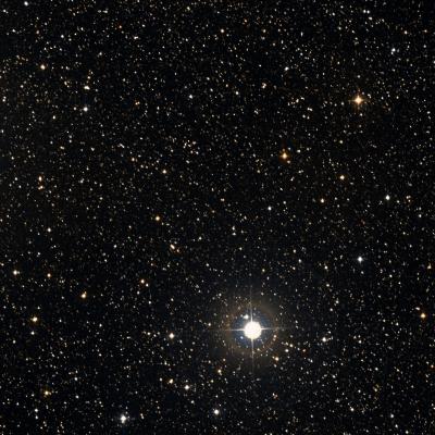 NGC 7234 survey image