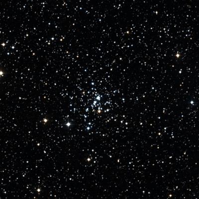 NGC 436 survey image