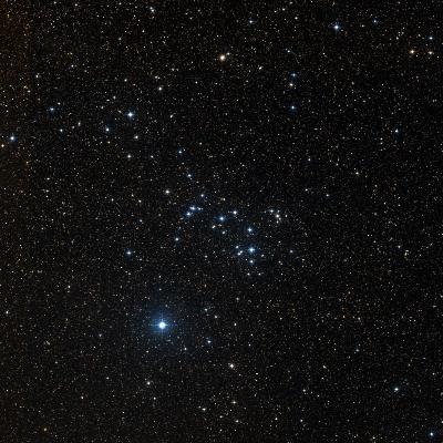Tweedledee Cluster survey image