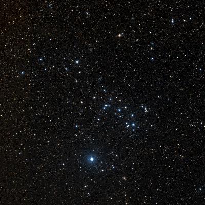 Tweedledee Cluster survey image