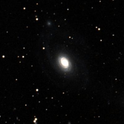 NGC 2460 survey image