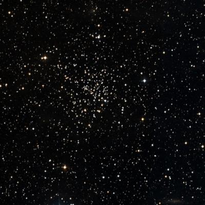 NGC 6939 survey image