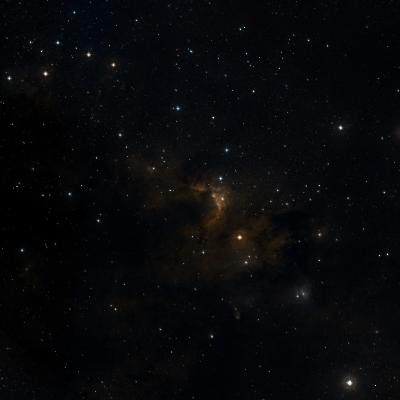 Sh2-155 survey image