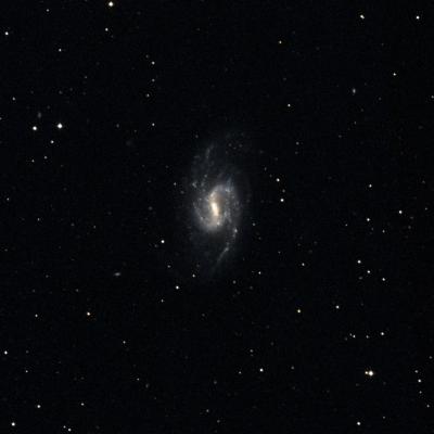 NGC 3359 survey image
