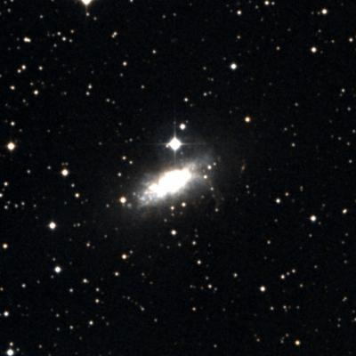 NGC 1569 survey image