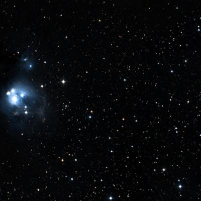 7129 C survey image