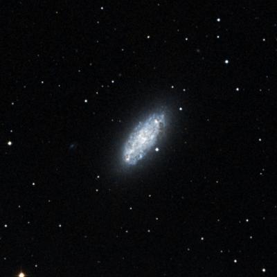 NGC 2976 survey image