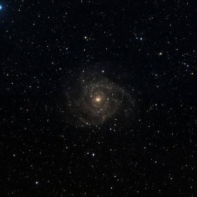 IC  342 survey image