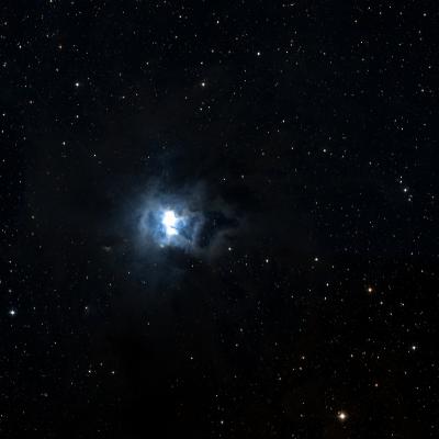 7023 C survey image