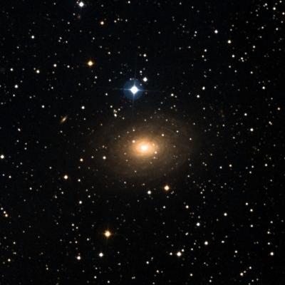 IC  356 survey image