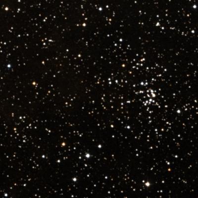 NGC 2254 survey image