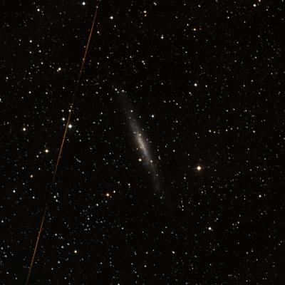 NGC 1560 survey image