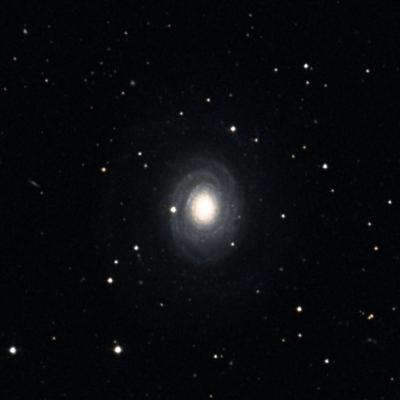 NGC 2985 survey image