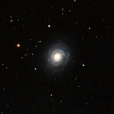 NGC 3147 survey image