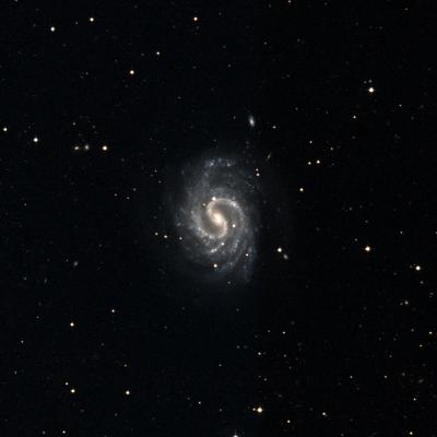 NGC 4535 survey image