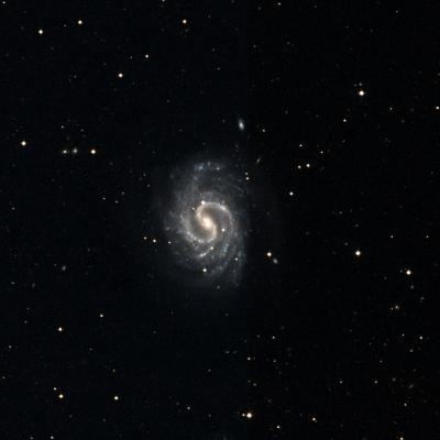 NGC 4535 survey image