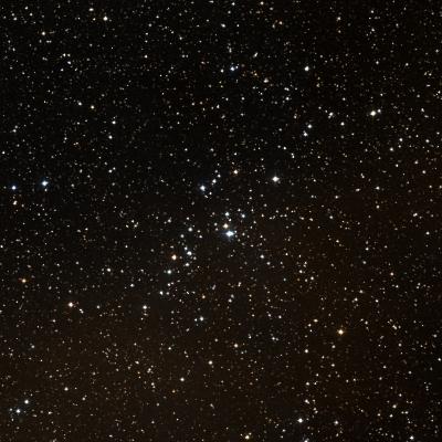 NGC 2251 survey image