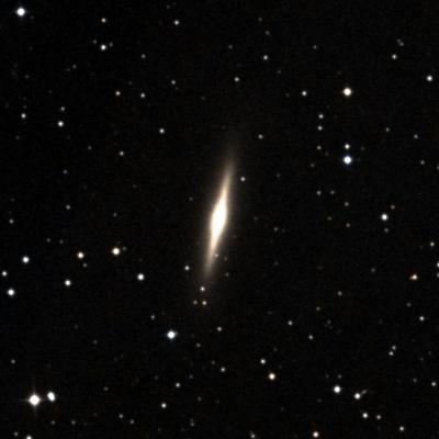NGC 1184 survey image