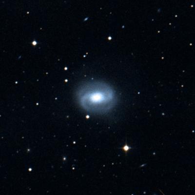 NGC 7743 survey image