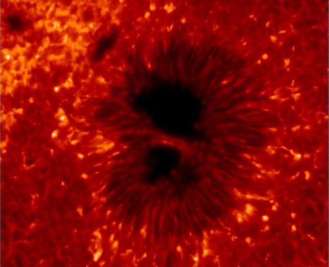 Closeup of sunspot showing dark umbra and striated penumbra (JAXA/NASA Hinode SOT)