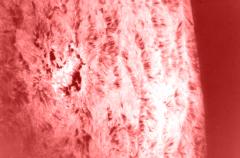 Solar spicules — fine hair-like jets at the solar limb (NASA/MSFC)